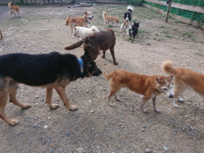 f:id:roukenhome-ann:20190826190947j:plain