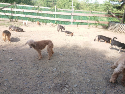f:id:roukenhome-ann:20190826190953j:plain