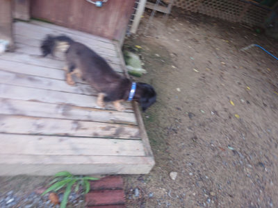 f:id:roukenhome-ann:20190826191001j:plain