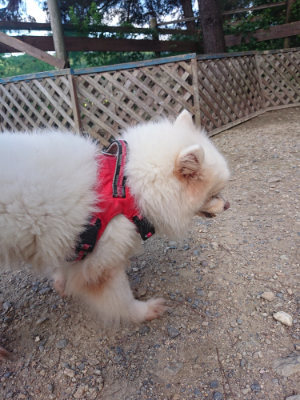 f:id:roukenhome-ann:20190826191006j:plain