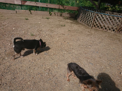 f:id:roukenhome-ann:20190826193942j:plain