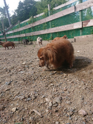 f:id:roukenhome-ann:20190826193948j:plain
