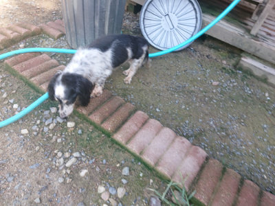 f:id:roukenhome-ann:20190826194011j:plain