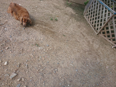 f:id:roukenhome-ann:20190826194016j:plain