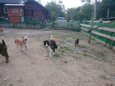 f:id:roukenhome-ann:20190826194020j:plain