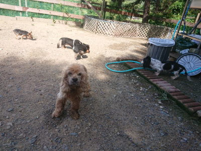 f:id:roukenhome-ann:20190826194035j:plain