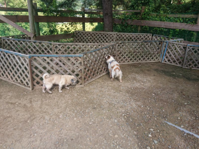 f:id:roukenhome-ann:20190826194042j:plain