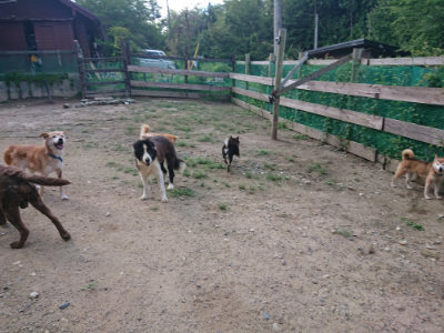 f:id:roukenhome-ann:20190826194049j:plain