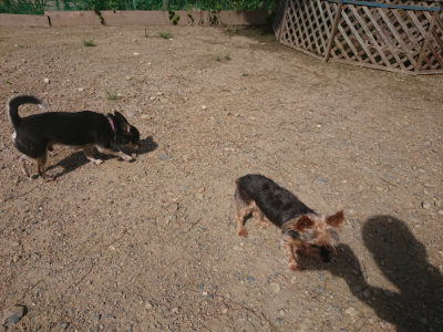 f:id:roukenhome-ann:20190826194106j:plain