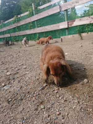 f:id:roukenhome-ann:20190826194123j:plain