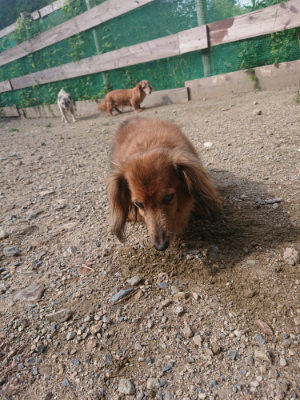 f:id:roukenhome-ann:20190826194149j:plain