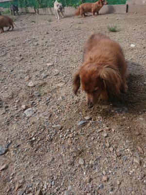 f:id:roukenhome-ann:20190826194209j:plain