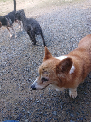 f:id:roukenhome-ann:20190826194218j:plain