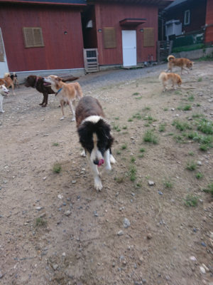f:id:roukenhome-ann:20190826194320j:plain