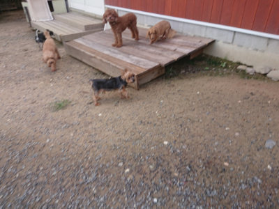 f:id:roukenhome-ann:20190826195433j:plain