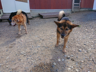f:id:roukenhome-ann:20190826195439j:plain
