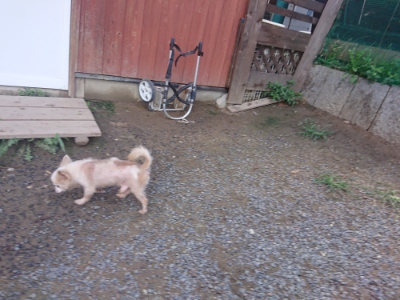 f:id:roukenhome-ann:20190826195538j:plain