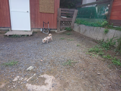 f:id:roukenhome-ann:20190826195603j:plain