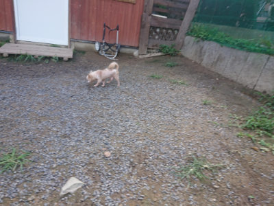 f:id:roukenhome-ann:20190826195613j:plain