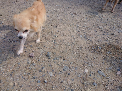 f:id:roukenhome-ann:20190826195620j:plain