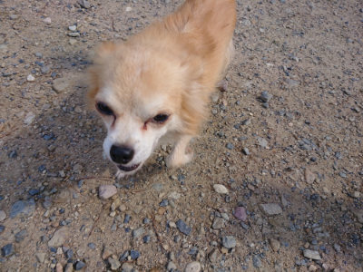 f:id:roukenhome-ann:20190826195628j:plain