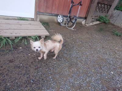 f:id:roukenhome-ann:20190826195703j:plain