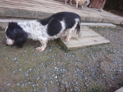f:id:roukenhome-ann:20190826195743j:plain