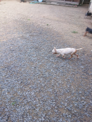 f:id:roukenhome-ann:20190826195759j:plain