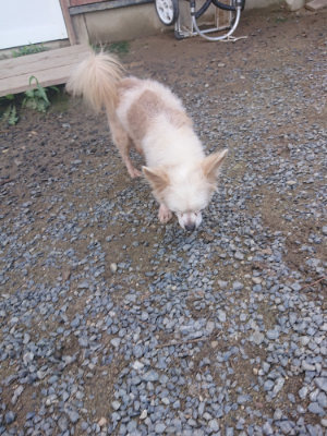 f:id:roukenhome-ann:20190826195828j:plain