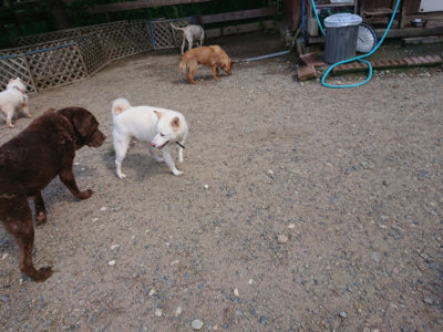 f:id:roukenhome-ann:20190826195834j:plain