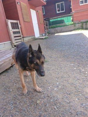 f:id:roukenhome-ann:20190826200117j:plain