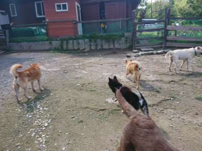 f:id:roukenhome-ann:20190826200131j:plain