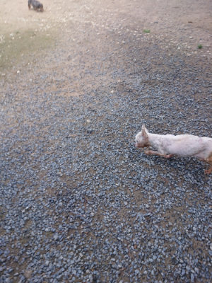 f:id:roukenhome-ann:20190826200218j:plain