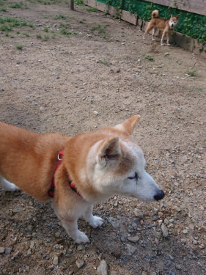 f:id:roukenhome-ann:20190826200223j:plain