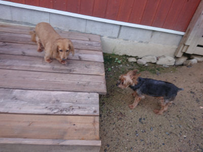 f:id:roukenhome-ann:20190826200252j:plain