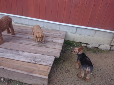 f:id:roukenhome-ann:20190826200309j:plain