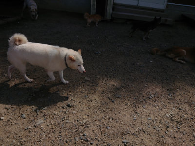 f:id:roukenhome-ann:20190826200322j:plain