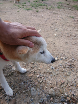 f:id:roukenhome-ann:20190826200329j:plain