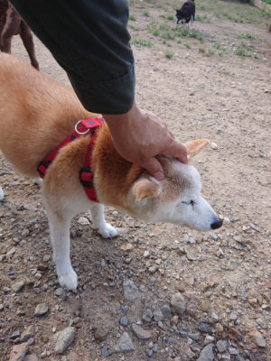f:id:roukenhome-ann:20190826200335j:plain