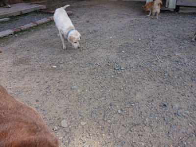 f:id:roukenhome-ann:20190826200401j:plain