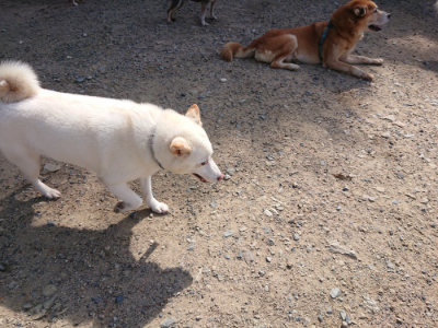 f:id:roukenhome-ann:20190826200413j:plain
