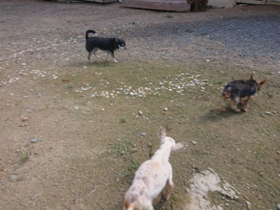 f:id:roukenhome-ann:20190826200445j:plain