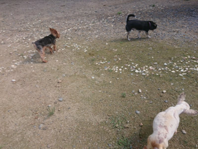 f:id:roukenhome-ann:20190826200450j:plain