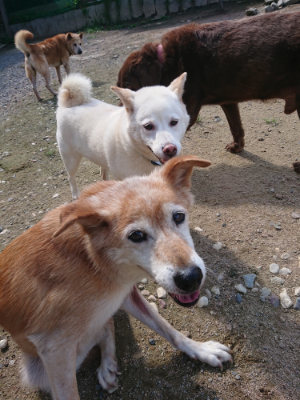 f:id:roukenhome-ann:20190826200504j:plain