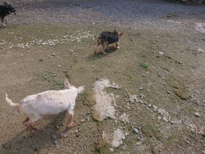 f:id:roukenhome-ann:20190826200511j:plain