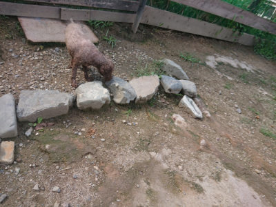 f:id:roukenhome-ann:20190826200517j:plain