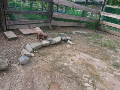 f:id:roukenhome-ann:20190826200547j:plain