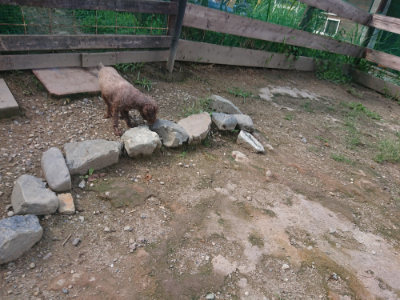 f:id:roukenhome-ann:20190826200554j:plain