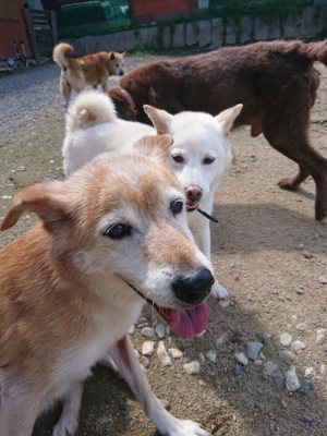 f:id:roukenhome-ann:20190826200641j:plain