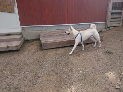 f:id:roukenhome-ann:20190826200732j:plain